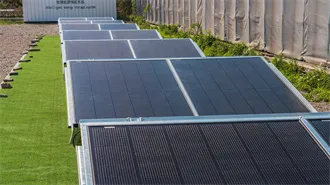 Best Solar Panel Brands 2025: Expert Reviews & Rankings