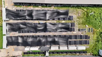 What is plug-in solar (balcony solar)?